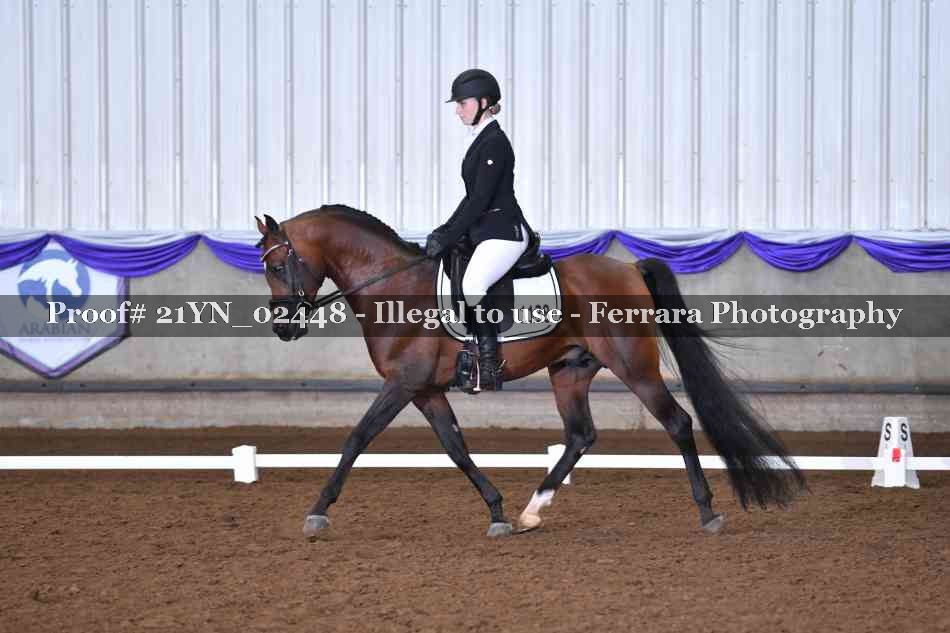 Proof 21YN_02448
