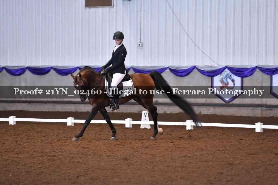 Proof 21YN_02460