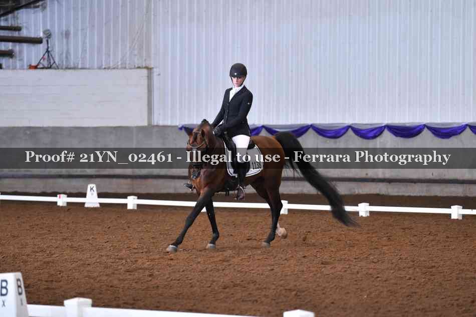 Proof 21YN_02461
