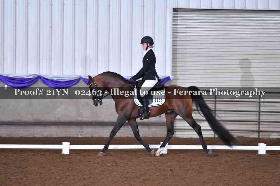 Proof 21YN_02463
