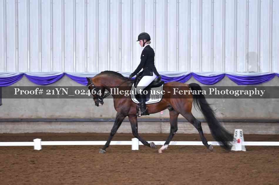 Proof 21YN_02464
