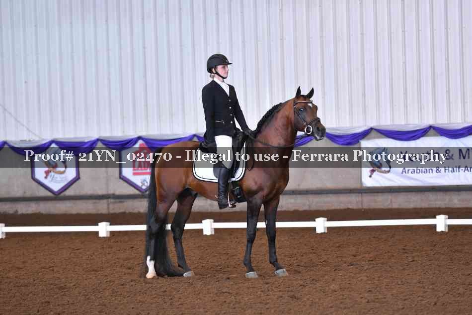 Proof 21YN_02470