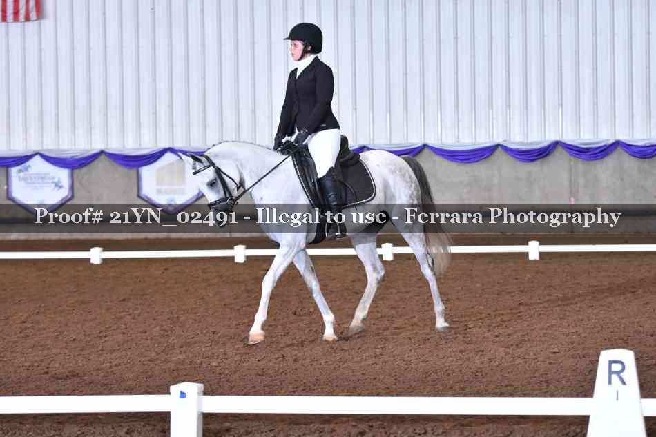Proof 21YN_02491