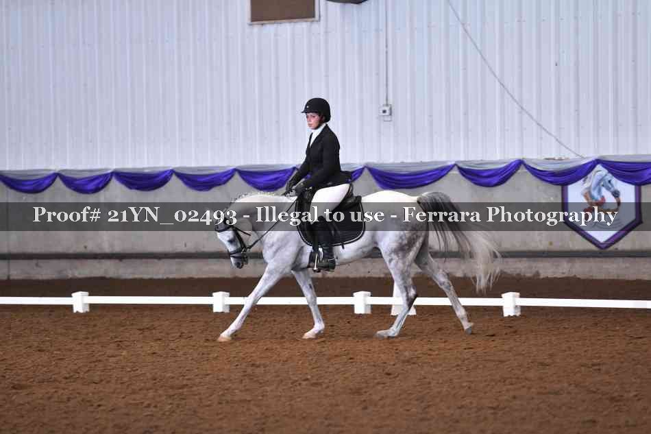 Proof 21YN_02493