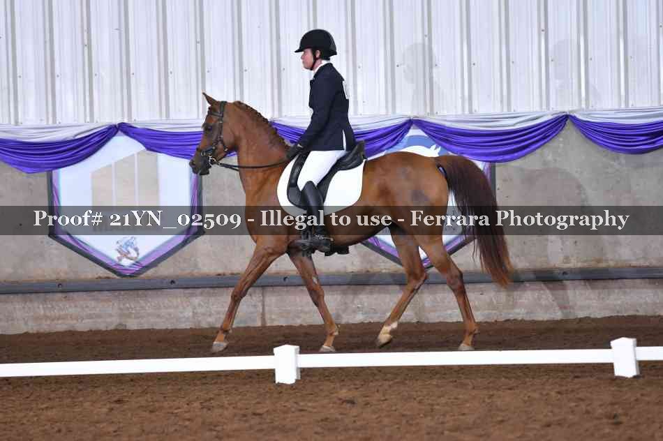 Proof 21YN_02509