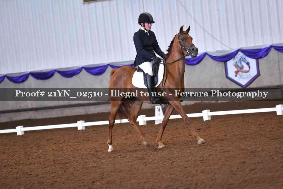 Proof 21YN_02510
