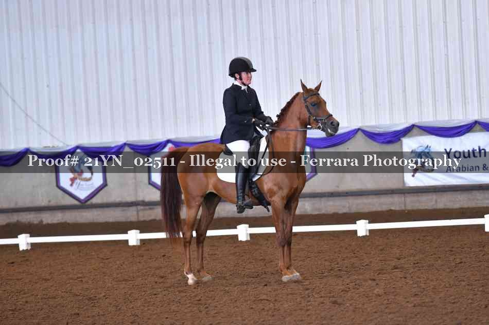 Proof 21YN_02511