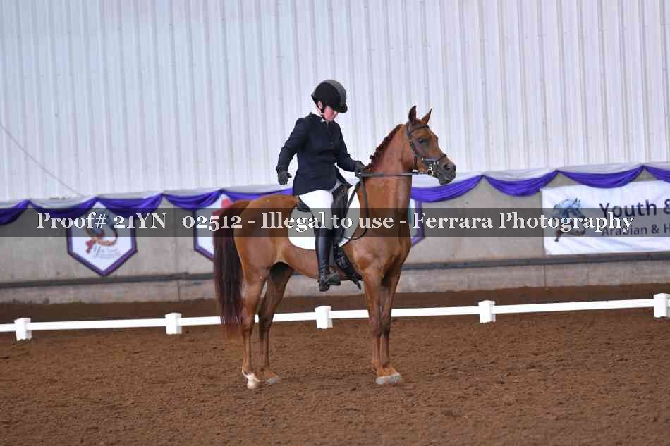 Proof 21YN_02512