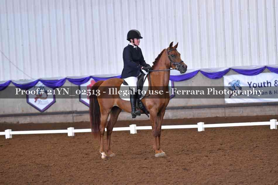 Proof 21YN_02513