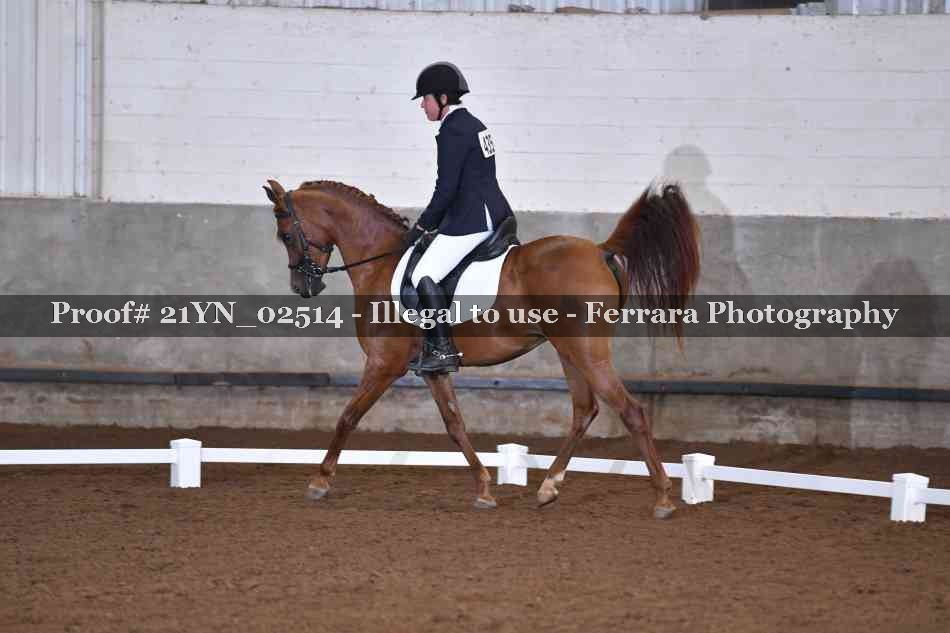 Proof 21YN_02514