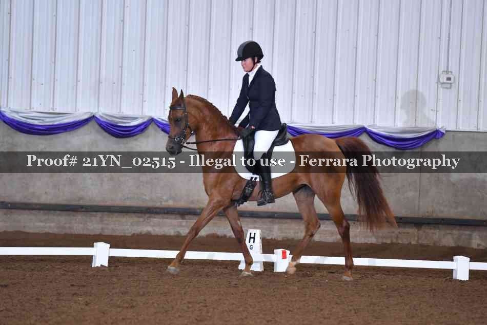Proof 21YN_02515