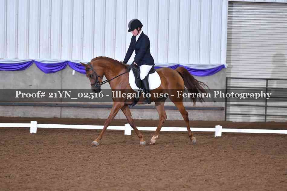 Proof 21YN_02516