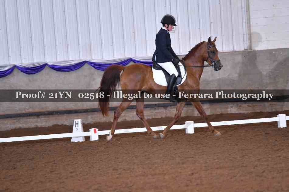 Proof 21YN_02518
