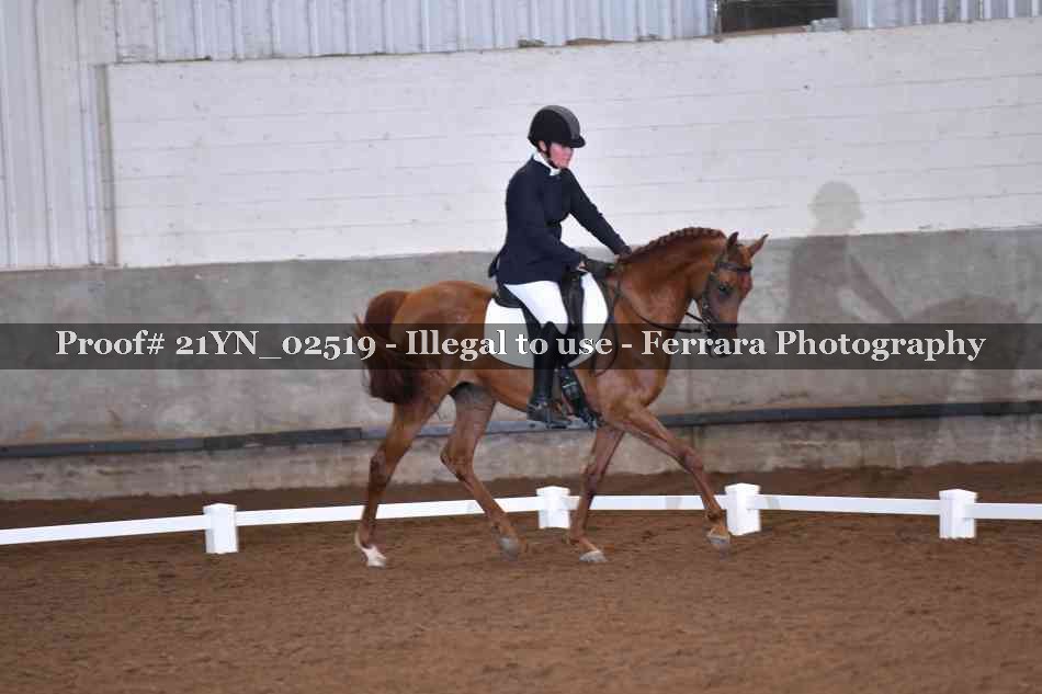 Proof 21YN_02519
