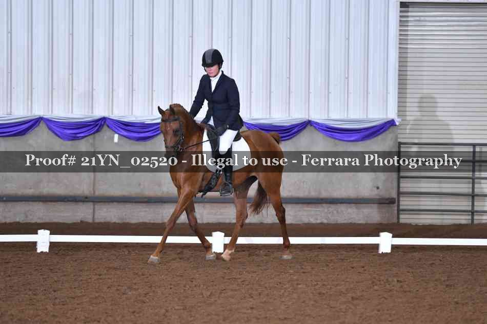 Proof 21YN_02520