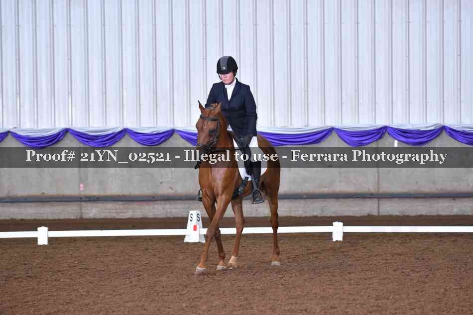 Proof 21YN_02521