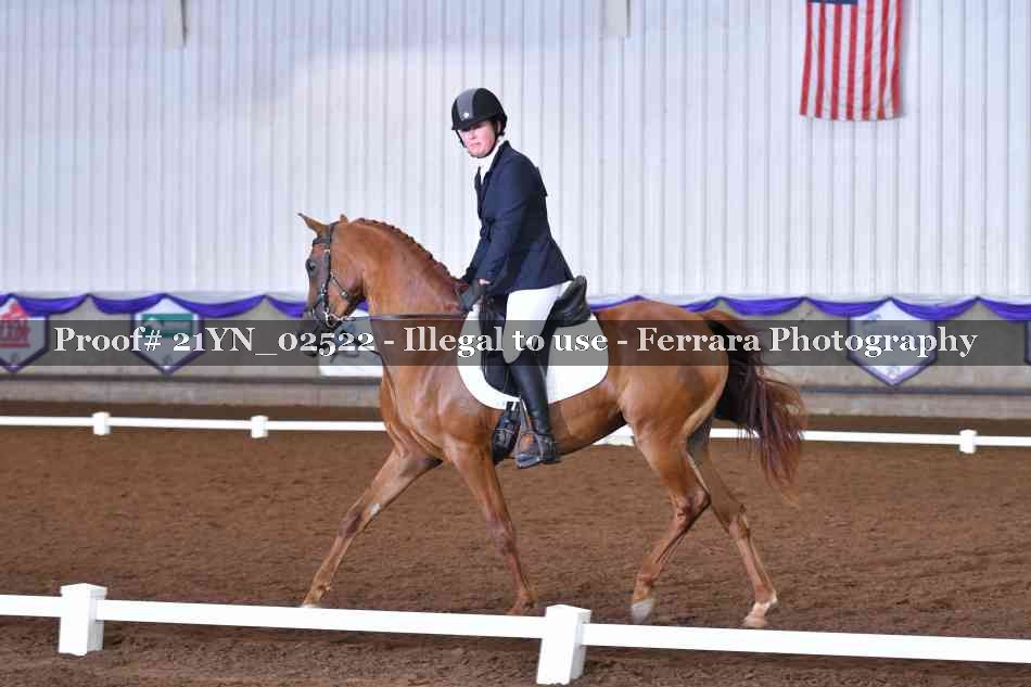 Proof 21YN_02522