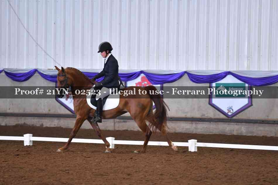 Proof 21YN_02523
