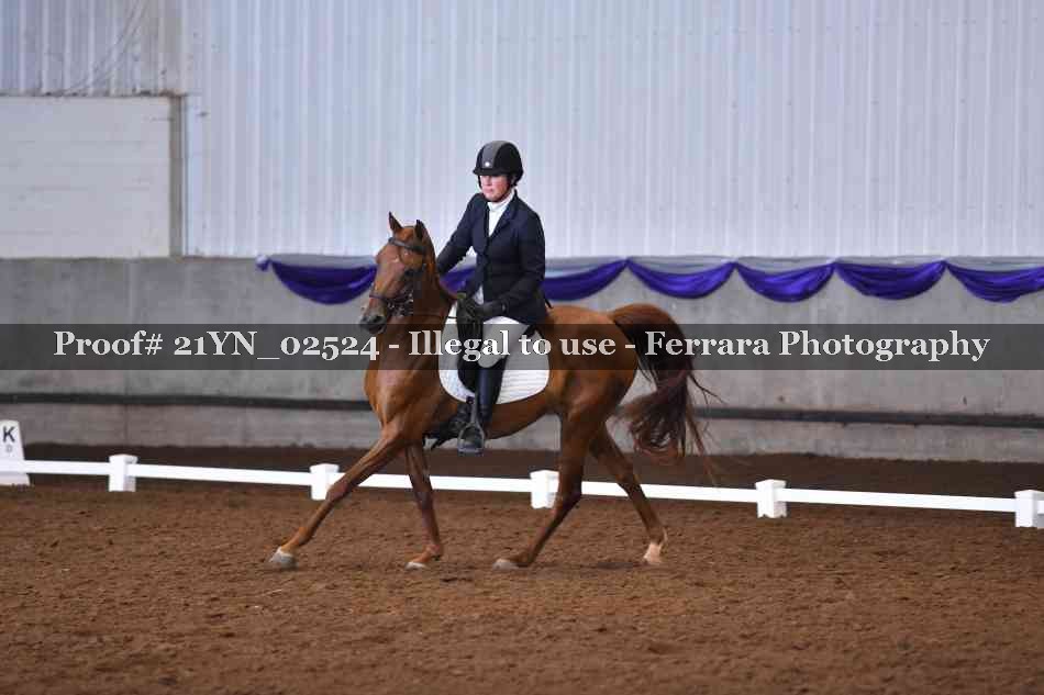 Proof 21YN_02524