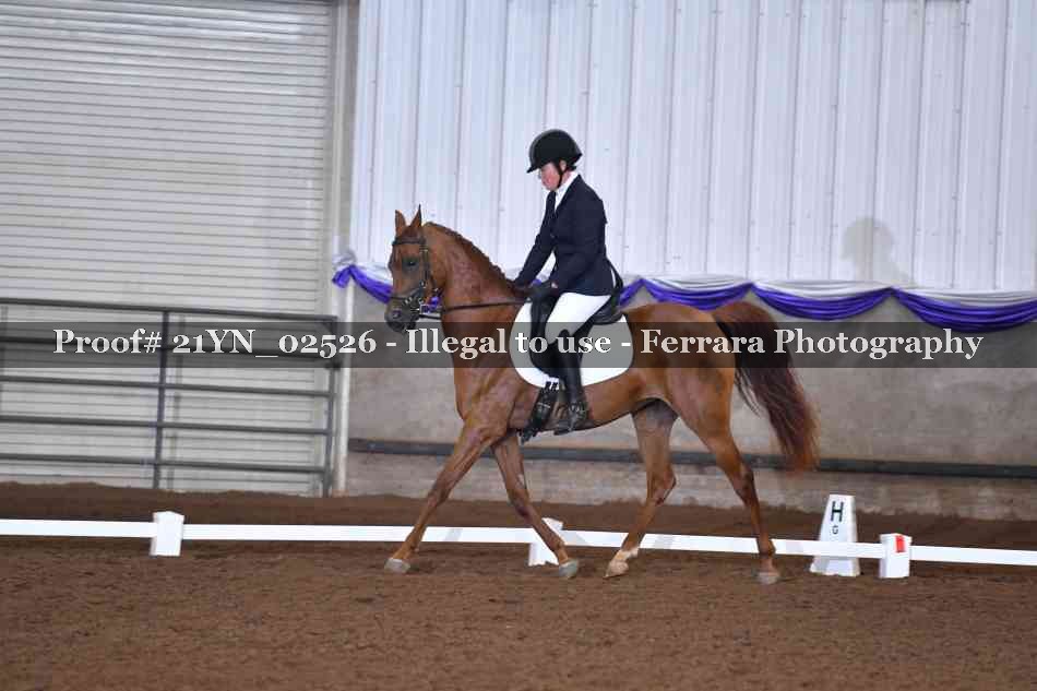 Proof 21YN_02526