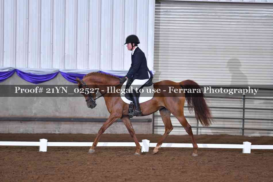 Proof 21YN_02527
