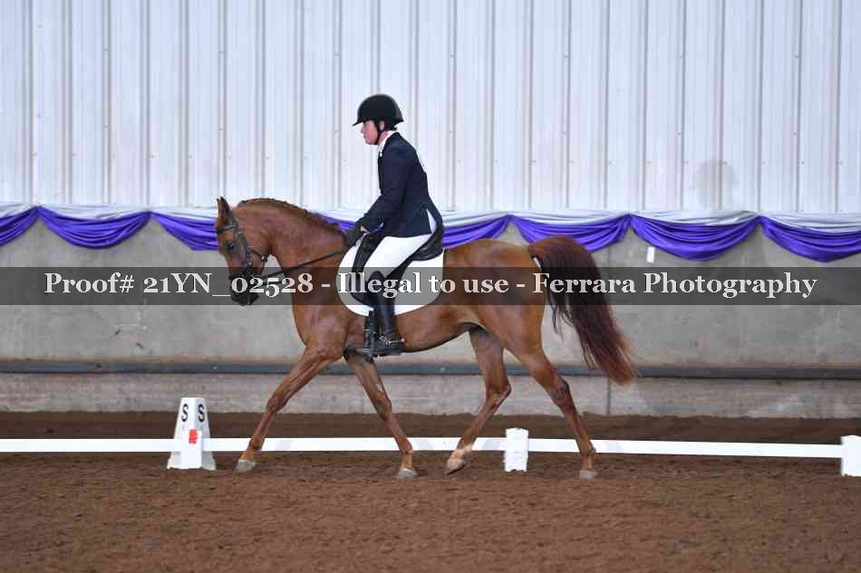 Proof 21YN_02528
