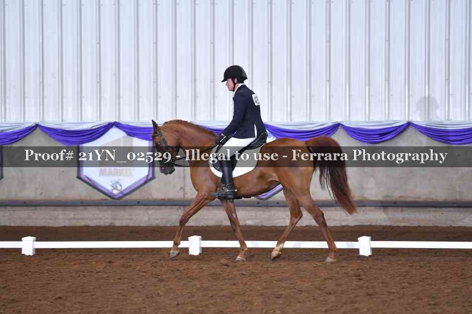Proof 21YN_02529