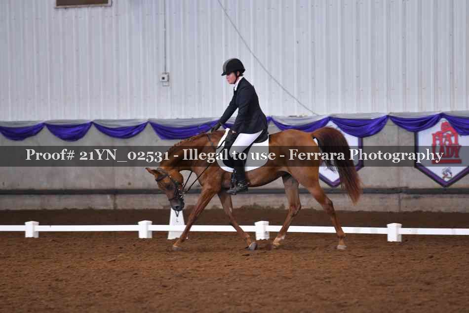 Proof 21YN_02531
