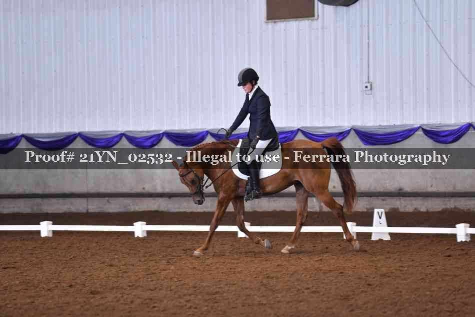 Proof 21YN_02532