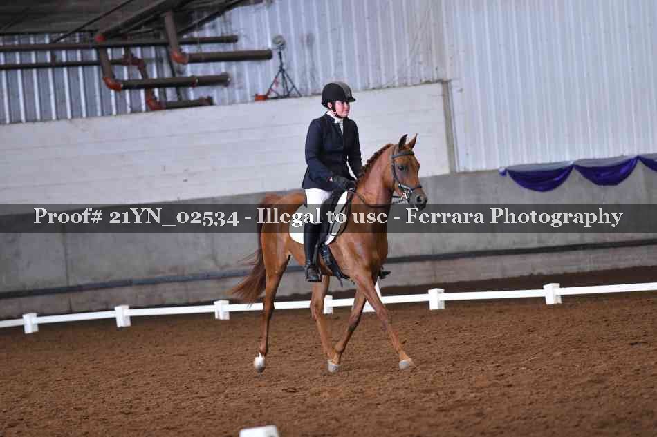 Proof 21YN_02534