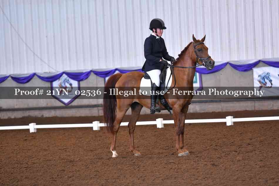 Proof 21YN_02536