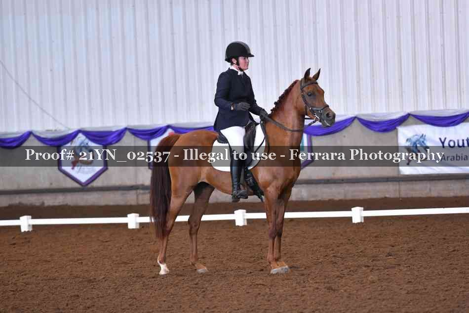 Proof 21YN_02537