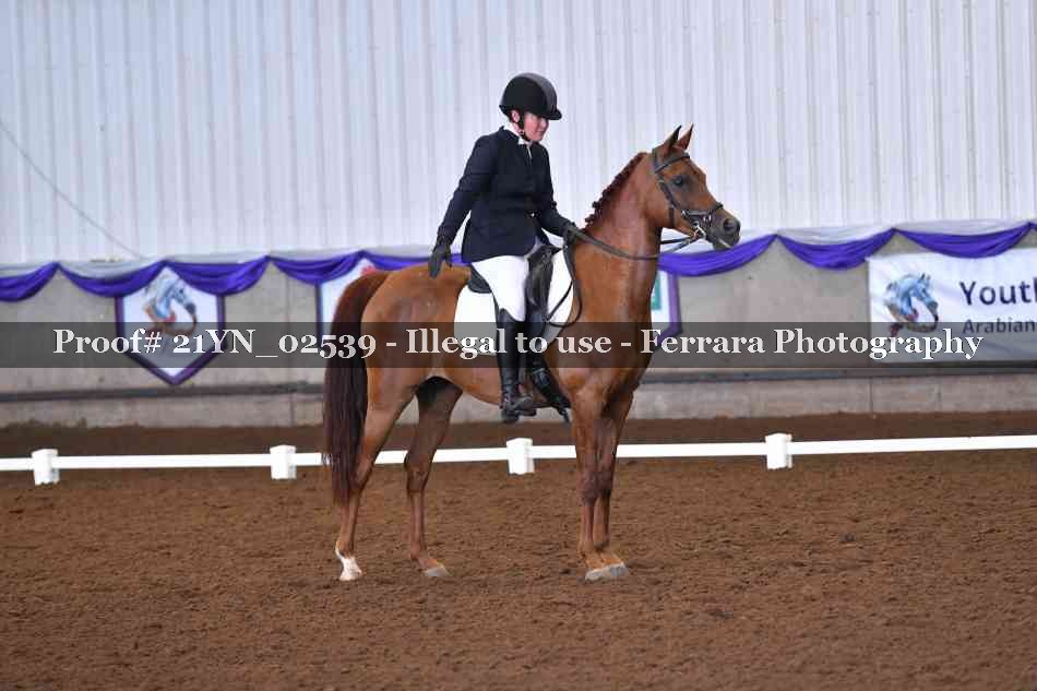Proof 21YN_02539