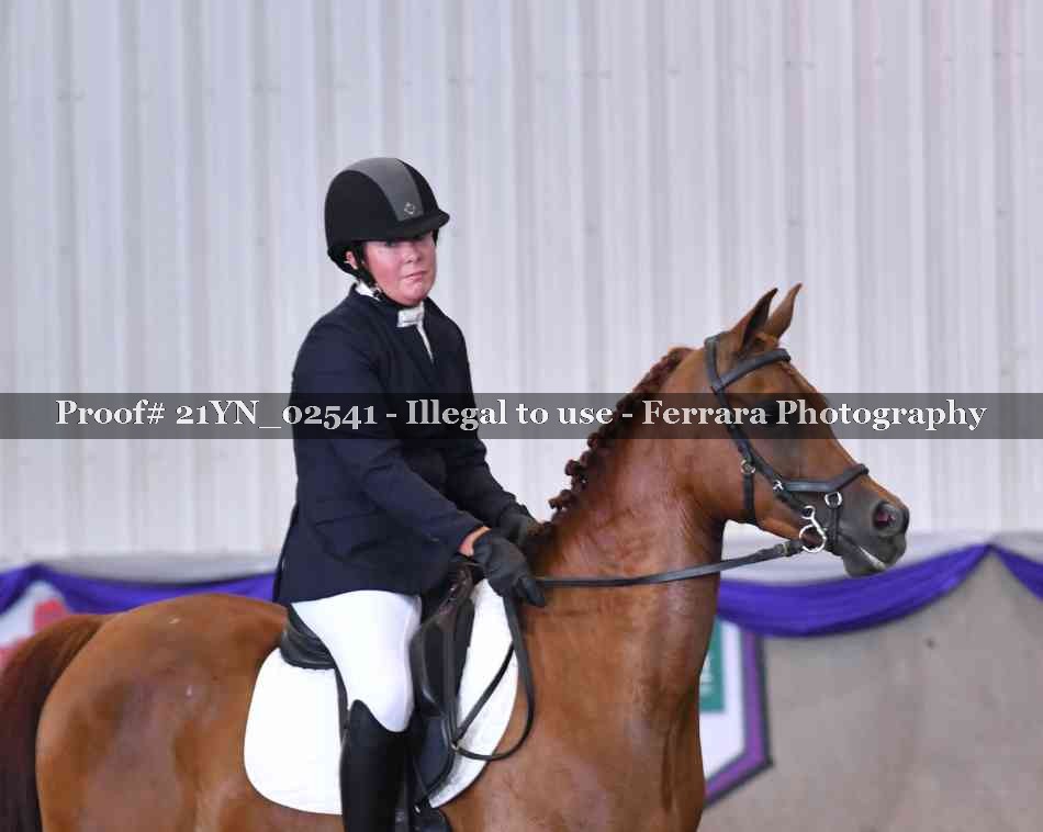 Proof 21YN_02541