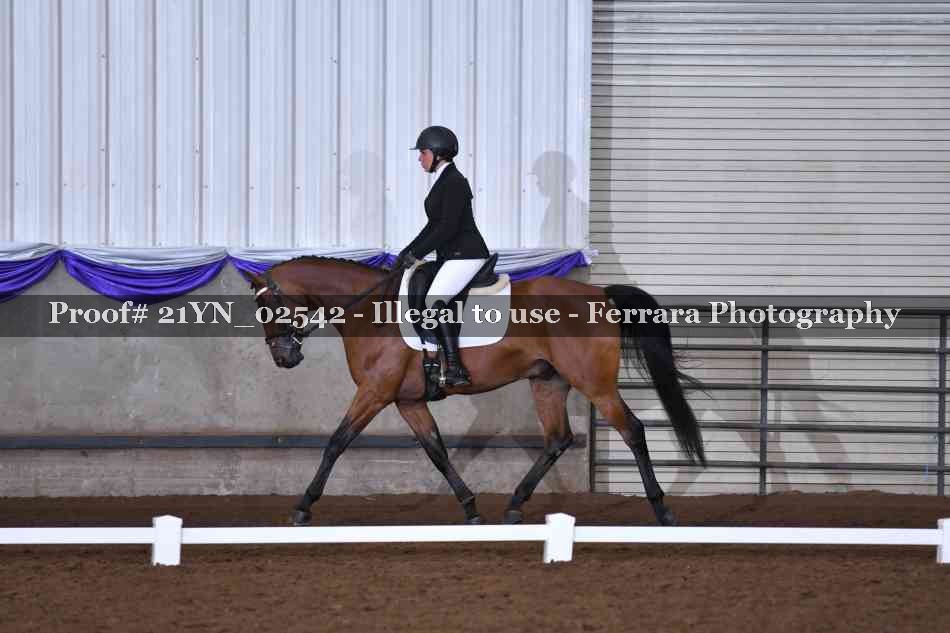Proof 21YN_02542