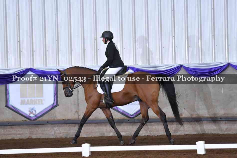 Proof 21YN_02543