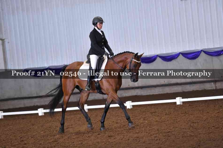 Proof 21YN_02546