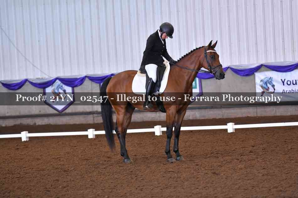 Proof 21YN_02547