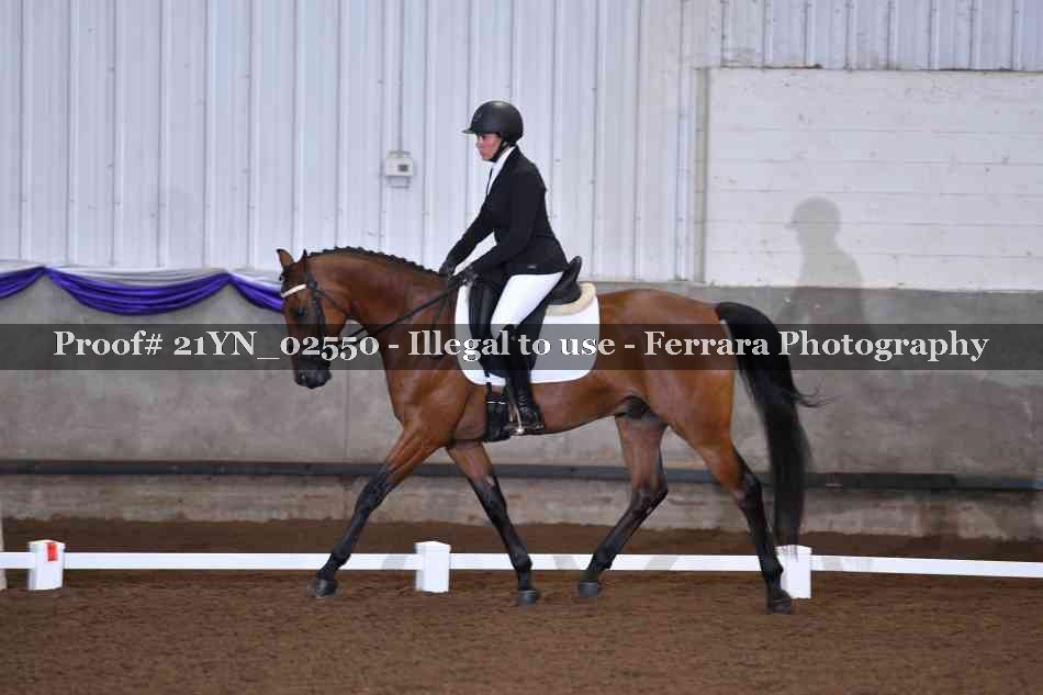 Proof 21YN_02550