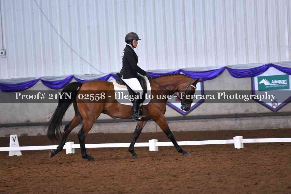 Proof 21YN_02558