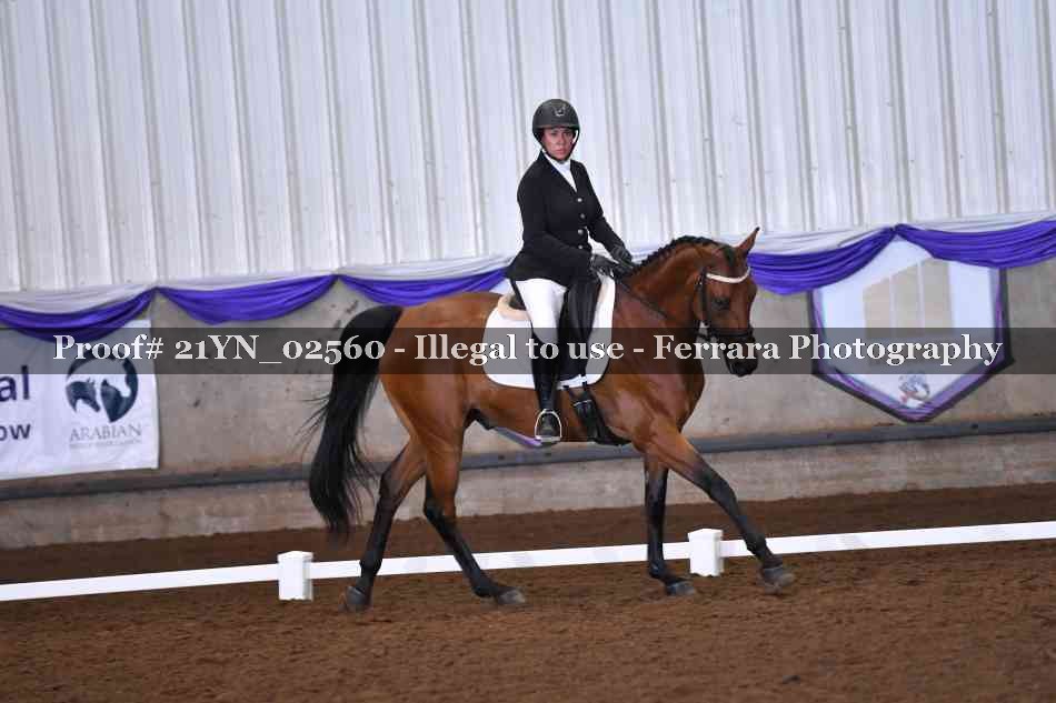 Proof 21YN_02560