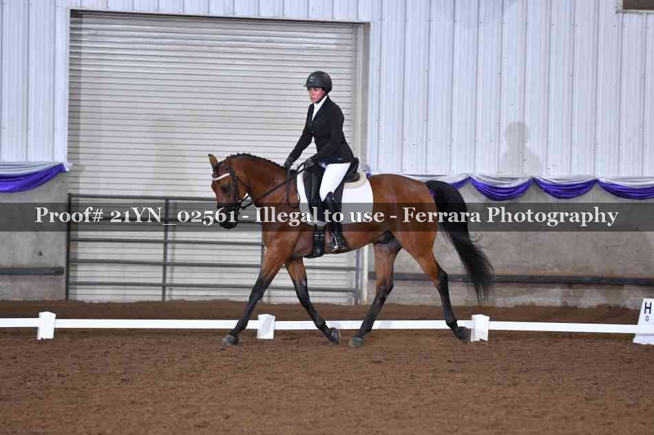 Proof 21YN_02561