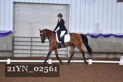 21YN_02561 proof