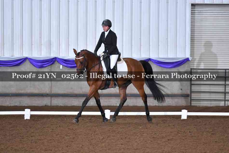 Proof 21YN_02562