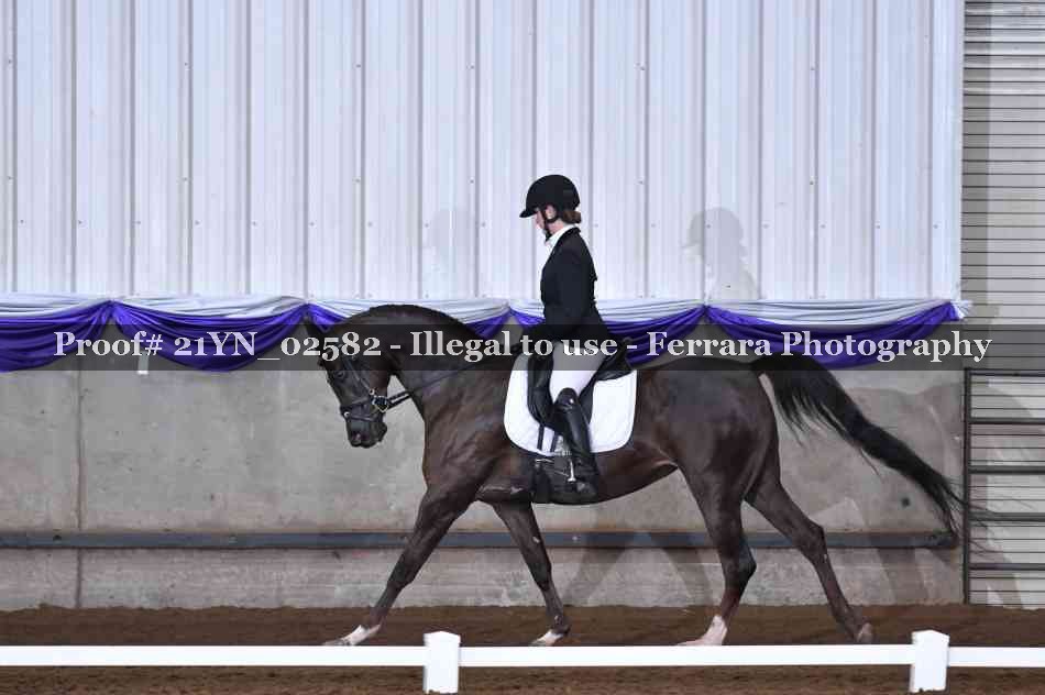 Proof 21YN_02582