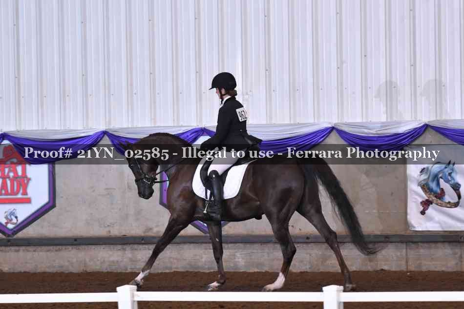 Proof 21YN_02585