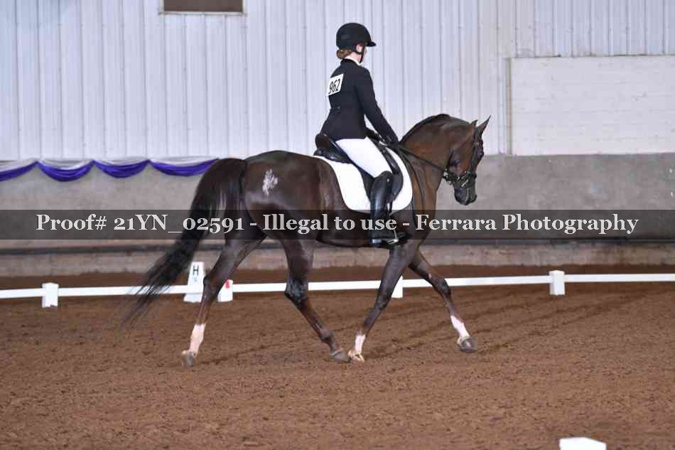 Proof 21YN_02591