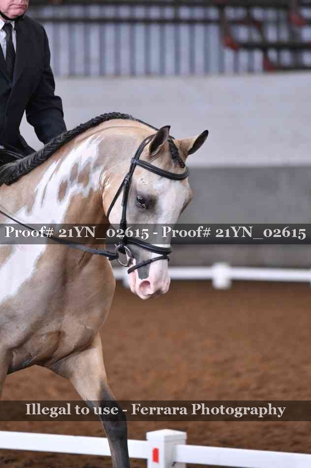 Proof 21YN_02615