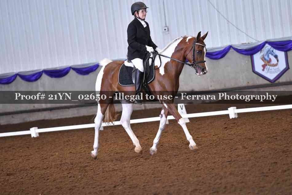 Proof 21YN_02650