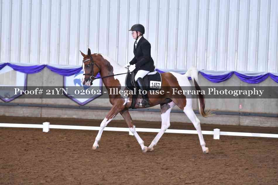 Proof 21YN_02662